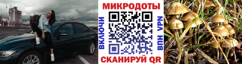 Галлюциногенные грибы MAGIC MUSHROOMS  Гаврилов Посад 